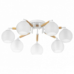 Потолочная люстра Citilux Tika CL133170 250_100_Array