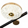 Потолочная люстра Escada Liberta 10219/6LED 100_100_2676228
