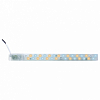 Модуль светодиодный Apeyron Electrics  02-50 100_100_2177179