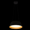 Подвесной светильник Loft it Evans 10224P Black 100_100_1854289