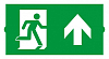 Пиктограмма Arlight EMERGENCY 046669 100_100_2136518