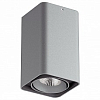 Накладной светильник Lightstar Monocco 52139 100_100_2232302