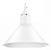 Подвесной светильник Lightstar Loft 765026 100_100_2460173