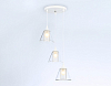 Подвесной светильник Ambrella Light TR TR3553 100_100_2017825