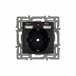 Розетка с заземлением и 2хUSB type A, без рамки Arlight SCT 043734 250_100_679601