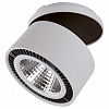 Спот Lightstar Forte Inca 214829 100_100_2232329