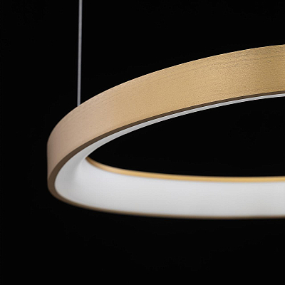 Подвесной светильник Citilux GENKA SMART CL756A092 400_400_3098310