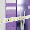 Лента светодиодная Maytoni Led Strip Led strip 10149 100_100_2749033