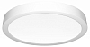 Накладной светильник Citilux Галс CL5522N 100_100_3147864