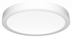 Накладной светильник Citilux Галс CL5522N 250_100_3147864