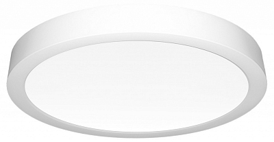 Накладной светильник Citilux Галс CL5522N 400_400_3147864