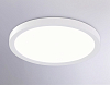 Накладной светильник Ambrella Light FZ FZ1903 100_100_2027856