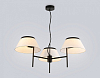 Подвесная люстра Ambrella Light LH LH72451 100_100_2476208