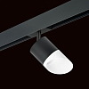 Светильник на штанге Lightstar Rullo PRO348786 100_100_1717905