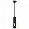 Подвесной светильник Ambrella Light TN TN5108 100_100_2019170