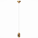 ST027.213.00 Подвес с одиночным фиксатором ST-Luce Золотистый ФАРМ 250_100_2946514