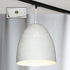 Трековый светильник Lussole LSP-9891-TAW 100_100_1732902