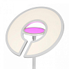 Торшер Citilux LOONG CL810030 100_100_2874597