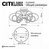 Потолочная люстра Citilux Salma Smart CL224A162 100_100_1694279