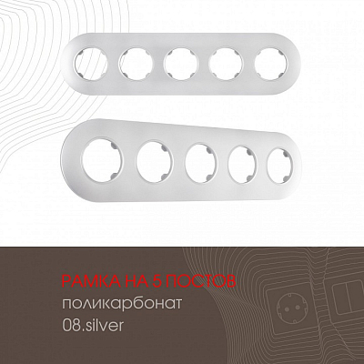 Рамка на 5 постов Arte Milano am-502.08 502.08-5.silver 400_400_2168323