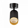 Спот Lampit RIN TS TK10-C1 BK+GD 100_100_2050987