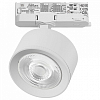 Светильник на штанге Lightstar Alta Pro A5546QT60G 100_100_3238909