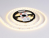 Лента светодиодная Ambrella Light GS GS3101 100_100_2024841