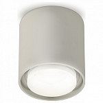 Накладной светильник Ambrella Light XS XS7724016 250_100_Array