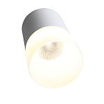 ST100.502.10 Светильник потолочный Белый LED 1*10W 3000K 780Lm Ra>80 120° D78xH135 170-240V Накладные светильники 250_100_2957915