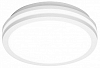 Накладной светильник Citilux LUNS CL711010V 100_100_2228448