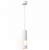 Подвесной светильник Ambrella Light TN TN5106 100_100_2019164