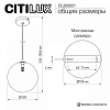 Подвесной светильник Citilux ORTON CL202021 100_100_1695348