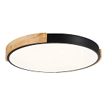 SLE201342-01 Светильник потолочный Черный, Светлое дерево/Белый LED 1*40W 3000K/4000K/6000K ДЕЛИА 250_100_2954839
