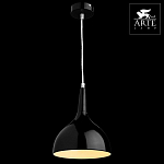 Подвесной светильник Arte Lamp Pendants 2 A9077SP-1BK 250_100_3100838