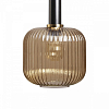 Подвесной светильник Loft it Iris 1 2071-B+BL 100_100_1844598