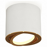 Накладной светильник Ambrella Light XS XS7401004 250_100_Array