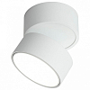 Спот Omnilux Lenno OML-101319-18 100_100_1782900