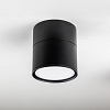 Накладной светильник Lightstar Acuto 215887 100_100_3155546