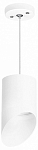 Подвесной светильник Lightstar Rullo RP348686 250_100_1717760