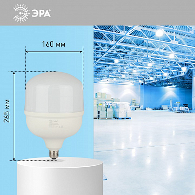 Лампа светодиодная Эра Стандарт E27/E40 100Вт 6500K LED POWER T160-100W-6500-E27/E40 400_400_2475894