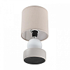 Настольная лампа декоративная Lumion LALANA 8180/1T 100_100_1867322