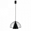 Подвесной светильник Lighthall Iris LH012096 100_100_3114459