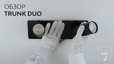 Спот 6063 Trunk Duo 1030801 400_400_2000829
