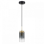 Подвесной светильник Lumion Isha 8101/1A 250_100_1865084