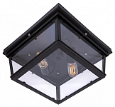 Накладной светильник Loft it Modern Filament LOFT3110-2C 250_100_1844198