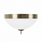 Накладной светильник MyFar Ceiling MR1527-3C 250_100_2395968