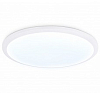 Накладной светильник Ambrella Light FZ FZ1231 100_100_2289096