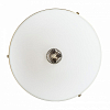 Светильник на штанге MyFar Ceiling MR1526-4C 100_100_3156342
