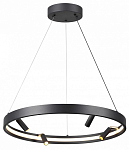 Подвесная люстра Odeon Light Fonda 4317/58L 250_100_1725945