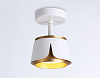Спот Ambrella Light TN TN71224 100_100_2022503